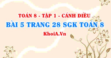 Bài 5 trang 28 SGK Toán 8 tập 1 Cánh Diều